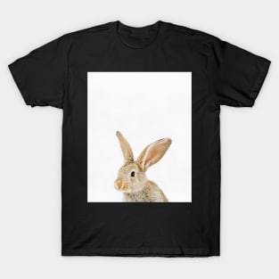 Baby Rabbit print, Nursery, Animal, Bunny, Modern Wall decor, Woodland T-Shirt